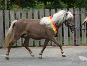 Staatsprämienstute Molly